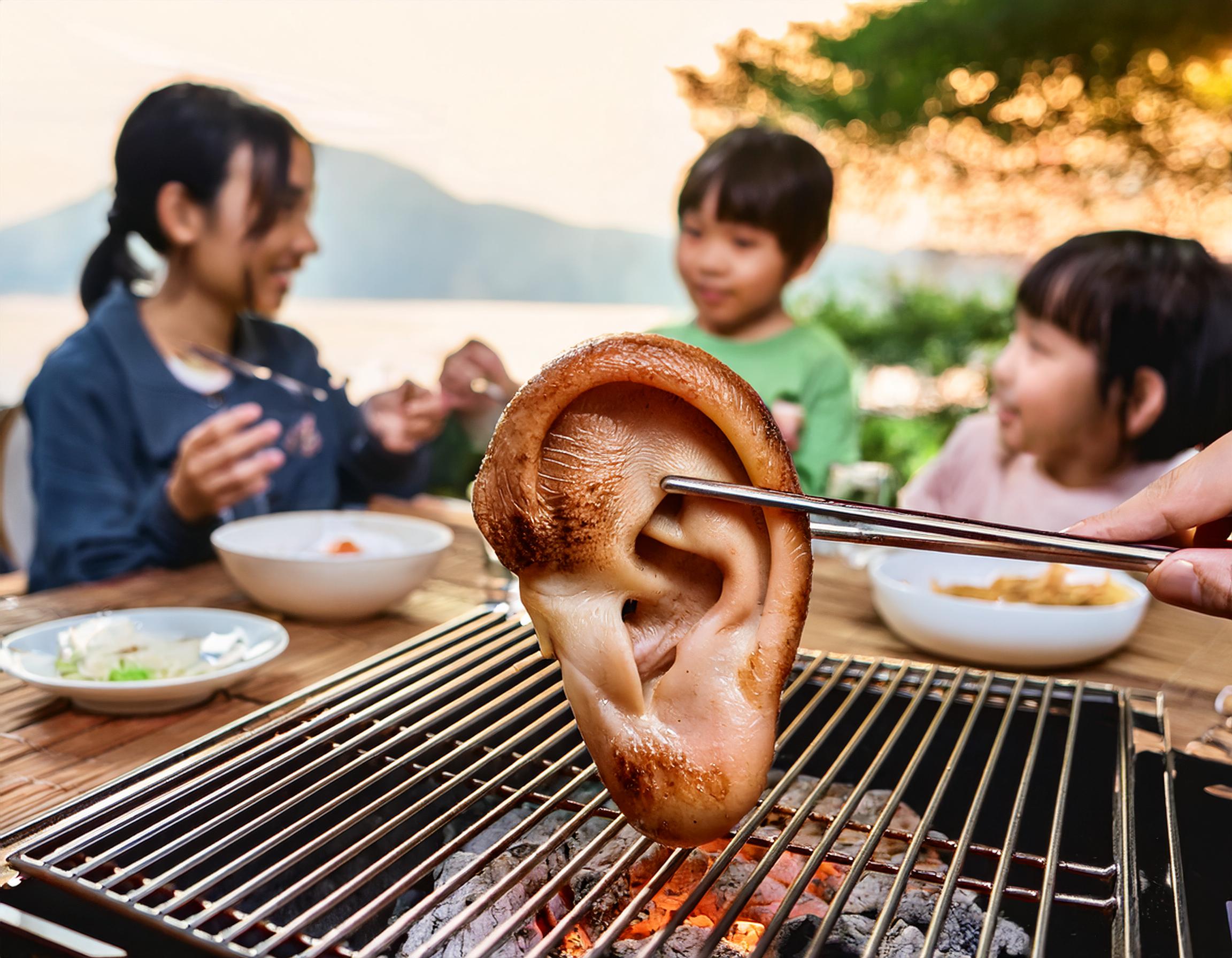 家族と一緒に、耳を焼いている様子